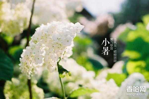 【佛山正能量网站www正能量入口陶瓷】伏天至，熱浪滾-小暑