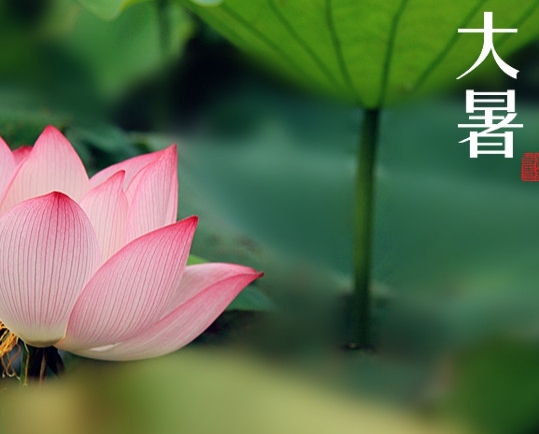 【2016 正能量网站www正能量入口陶瓷】大暑，你需要注意這些